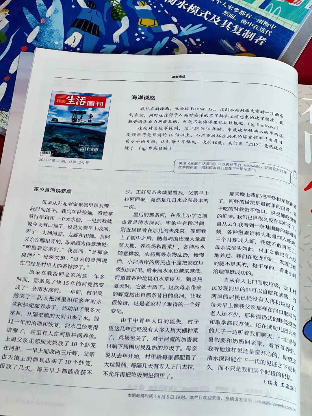 从社会视角审视