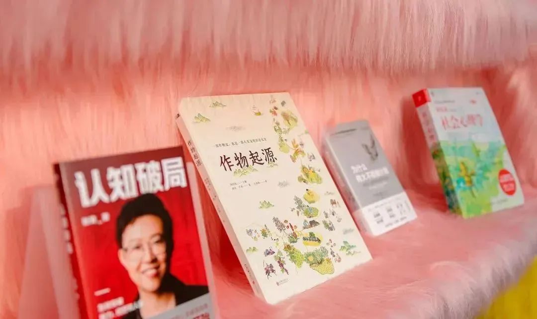 2024年,我要自建一块精神疗愈地