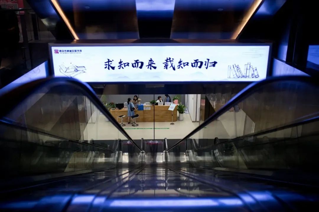 世上为什么要有图书馆？她建了一座临时图书馆来回答