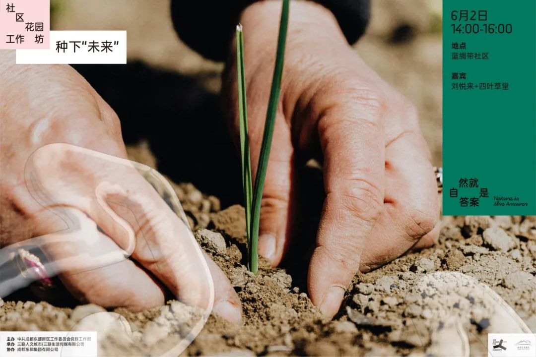 招募｜将公园作为方法，我们在成都实践了一下