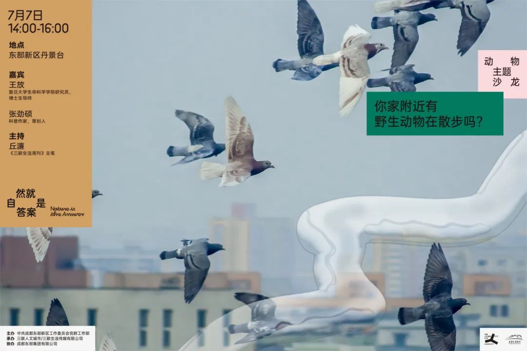 招募｜将公园作为方法，我们在成都实践了一下