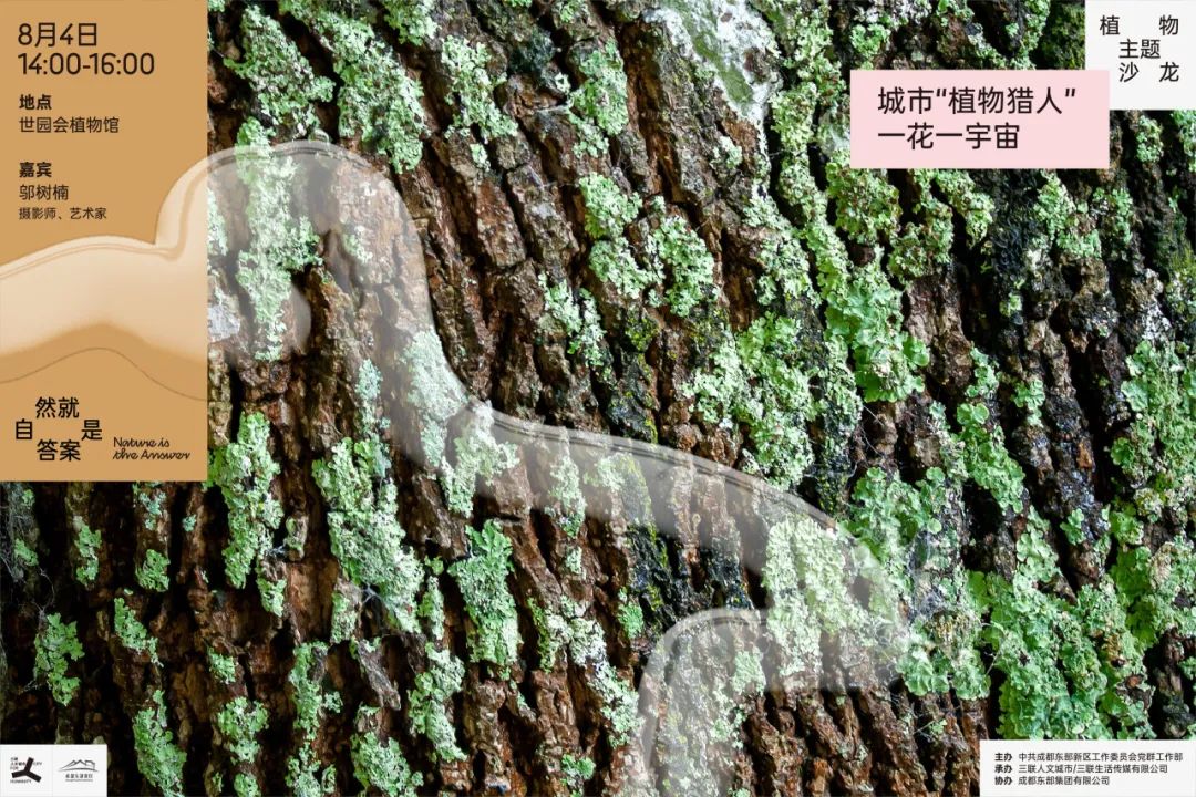 招募｜将公园作为方法，我们在成都实践了一下