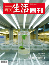 超级种子育种记