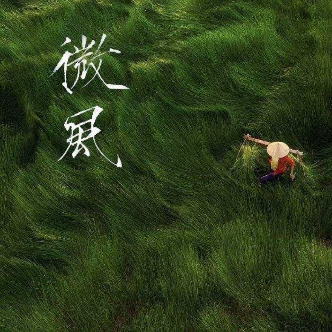 鸟人-三联生活网
