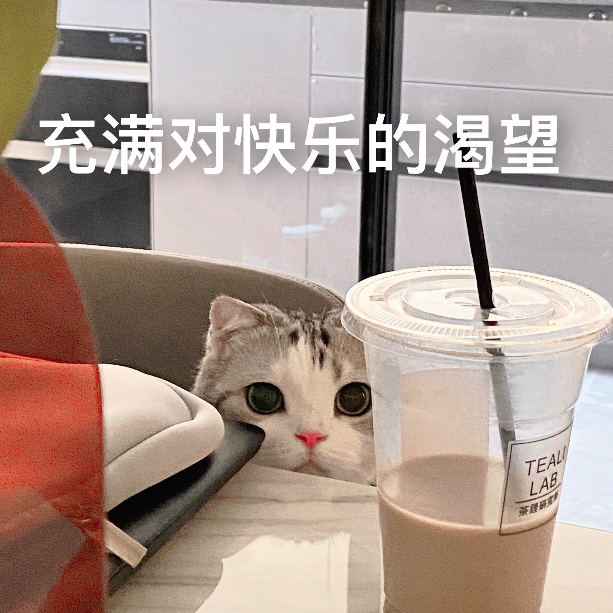 梁苏