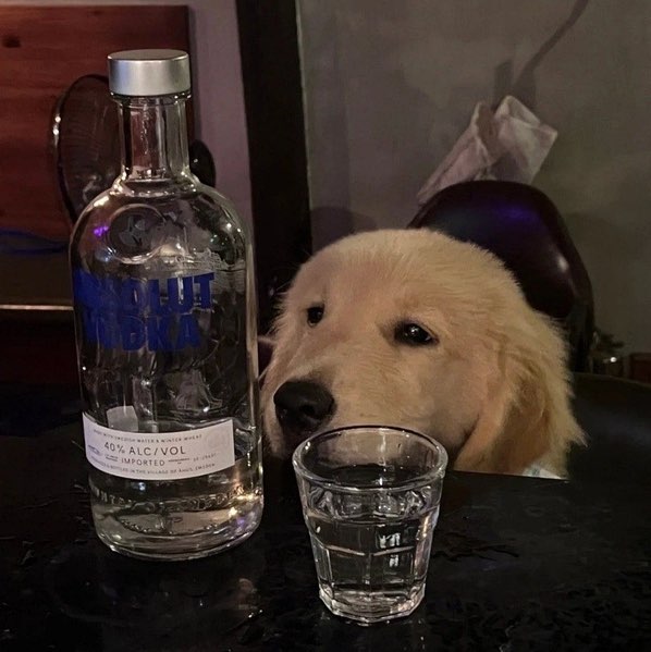被石兰兮带杜衡