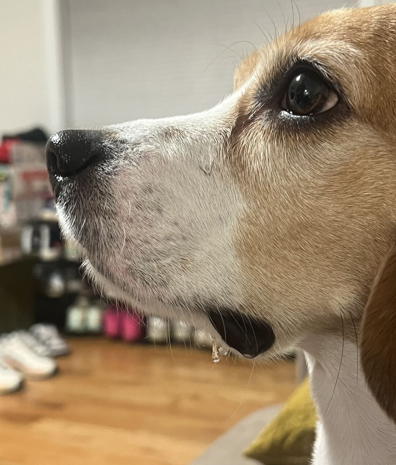 挑灯看剑