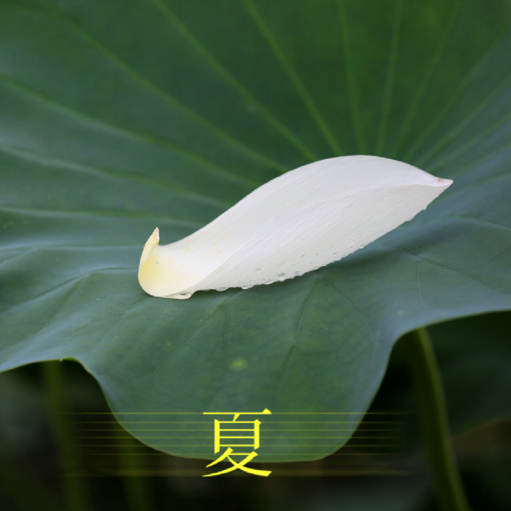 花正微