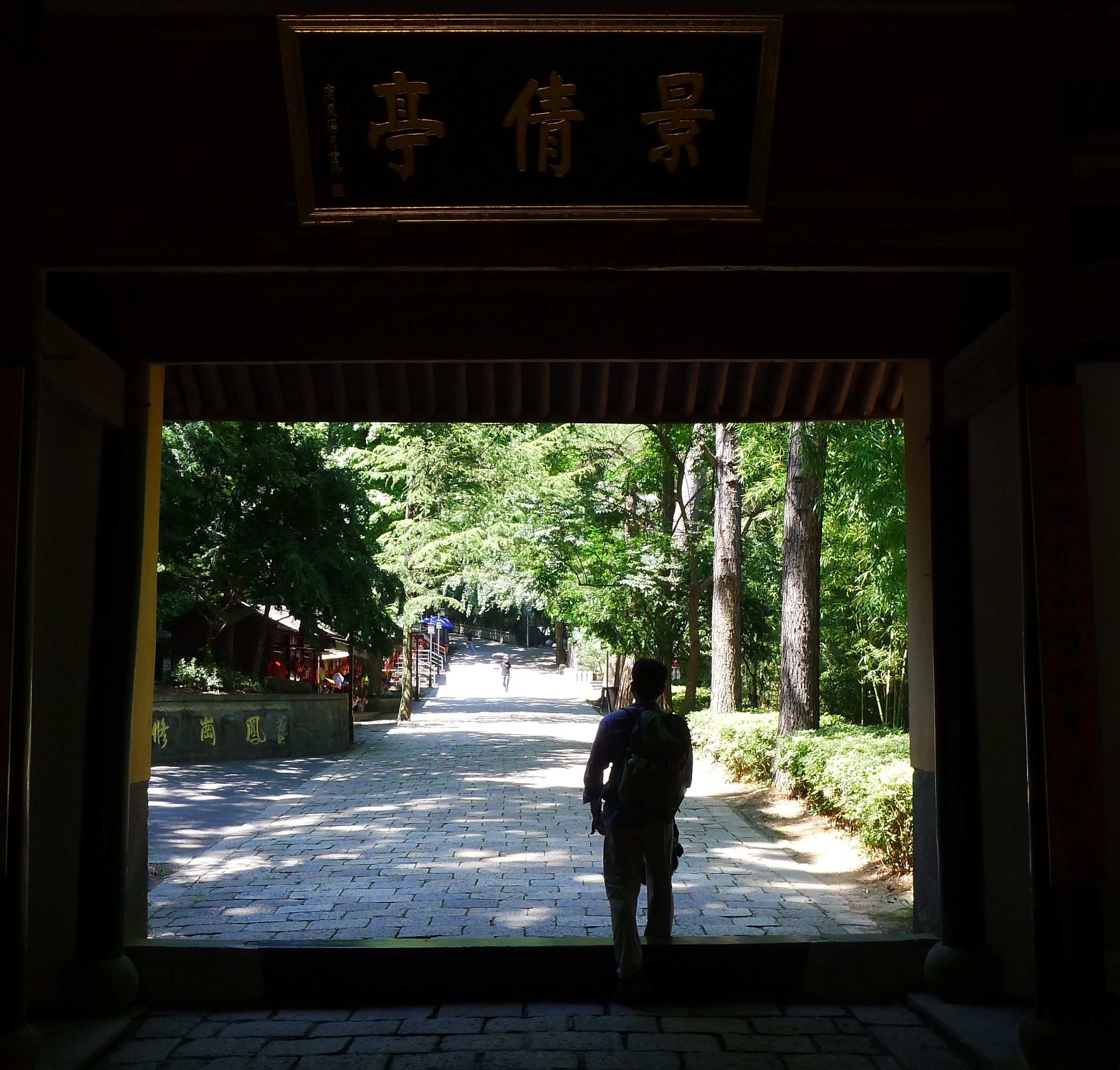 林下