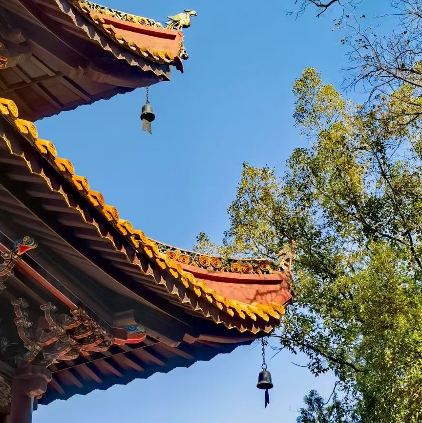 初心映华章
