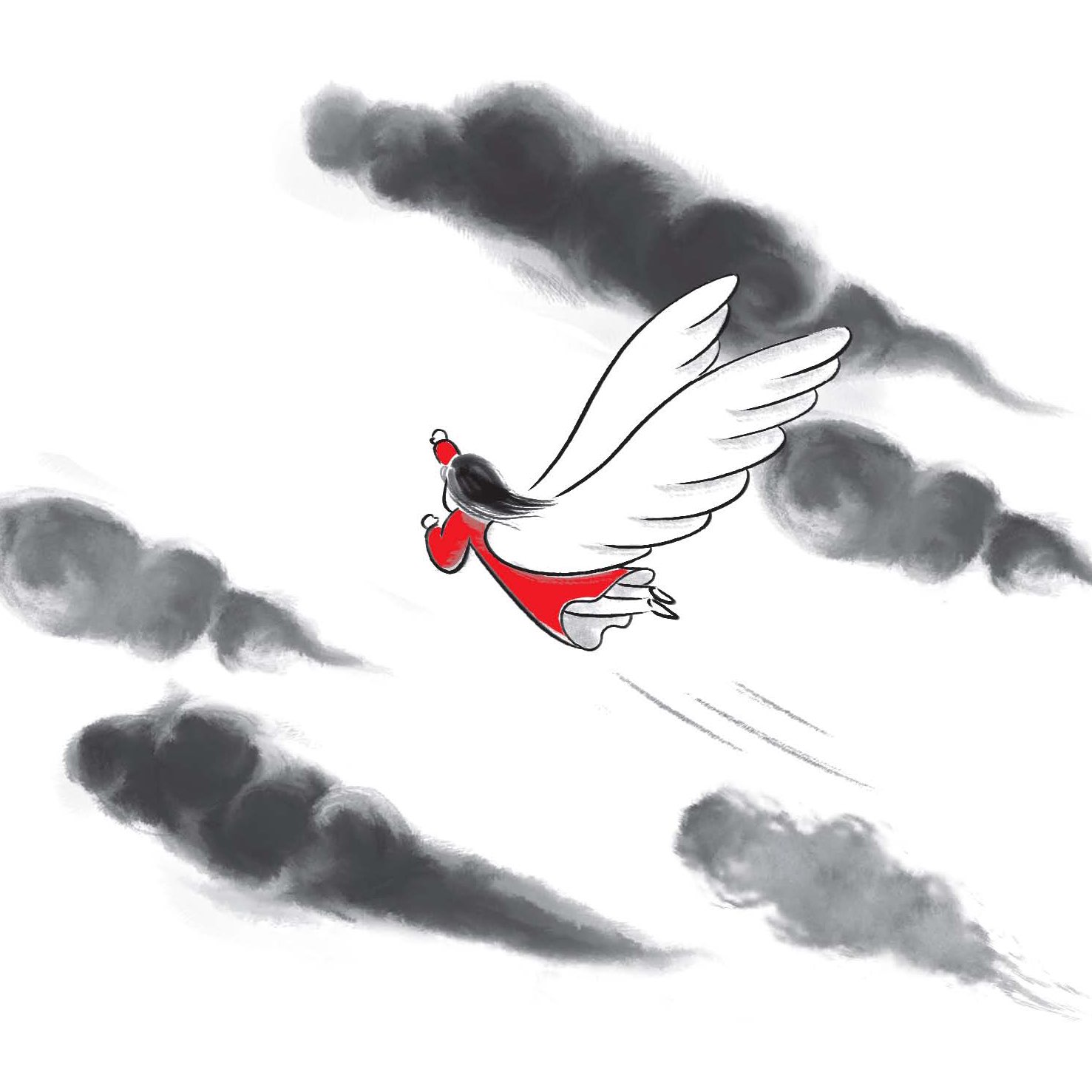 石庵君