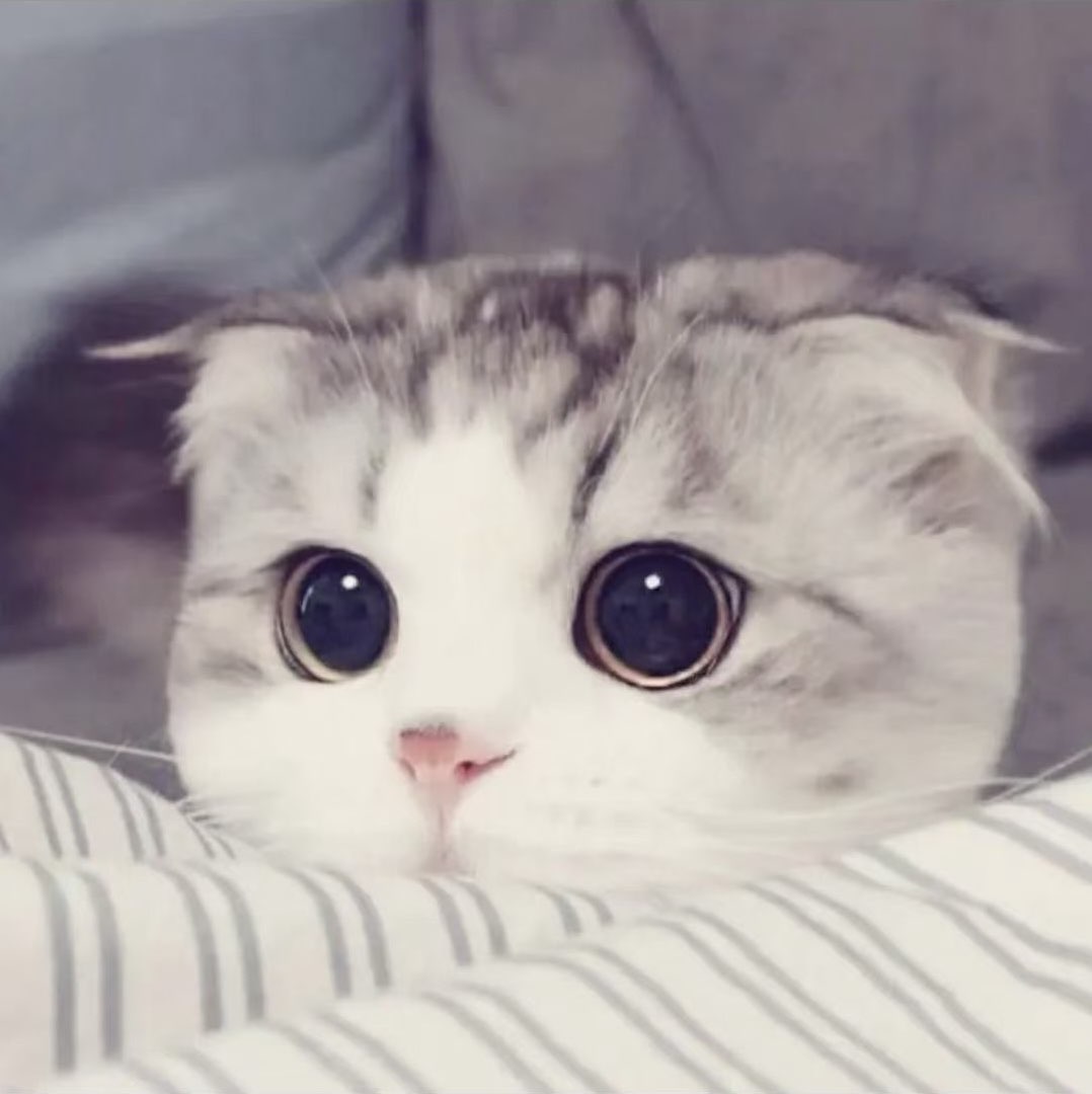 皓月