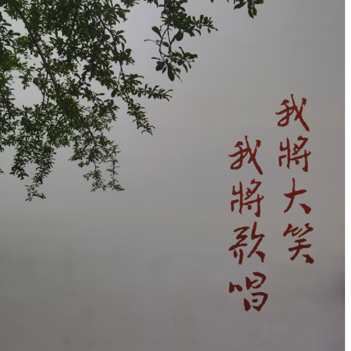 辰之雨