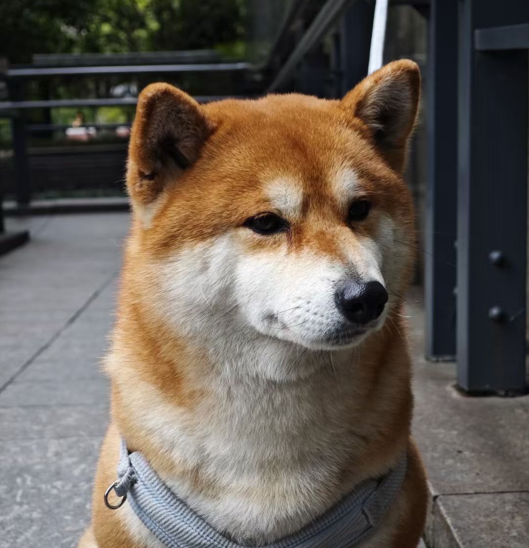 孤独永恒