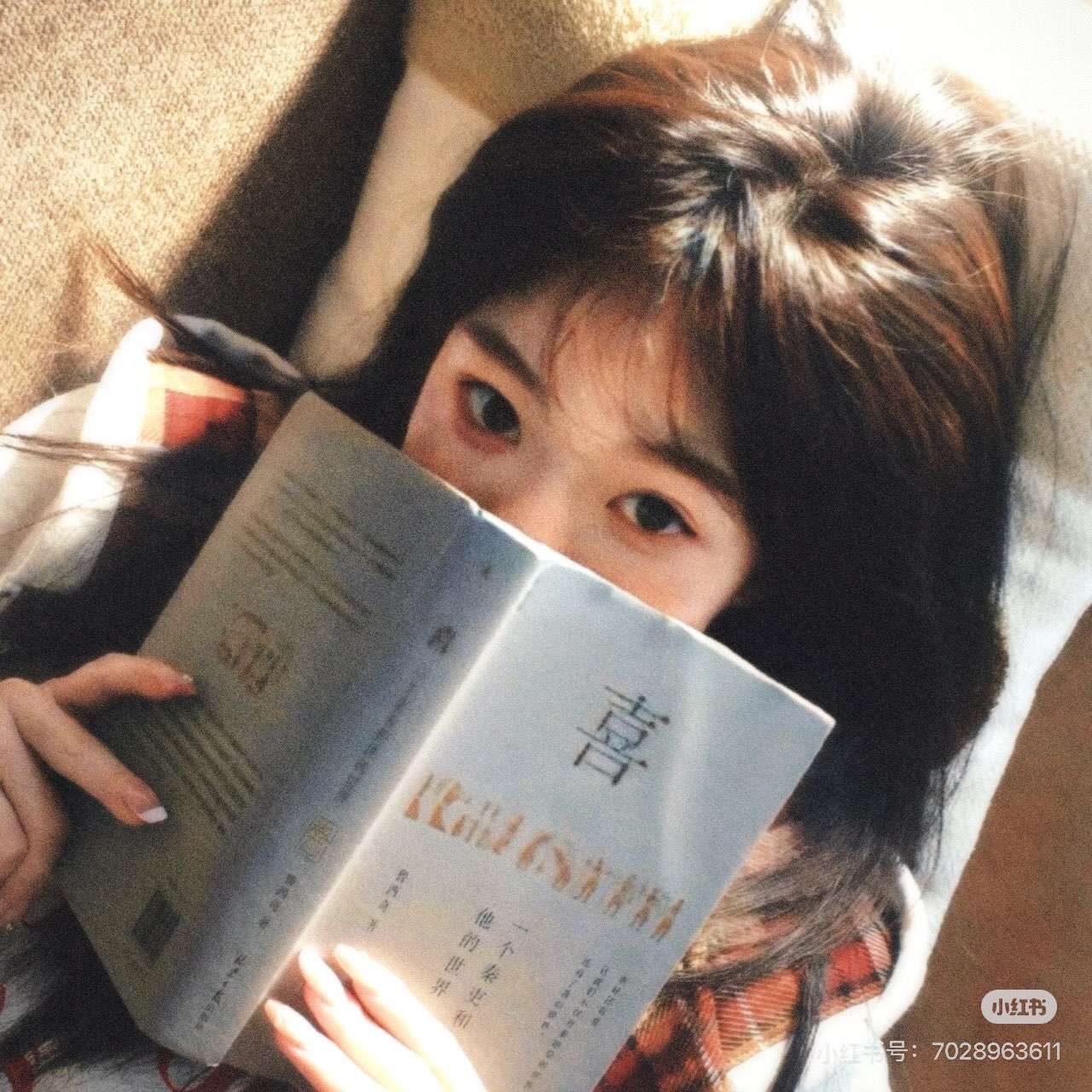 一个哲学家的漫游