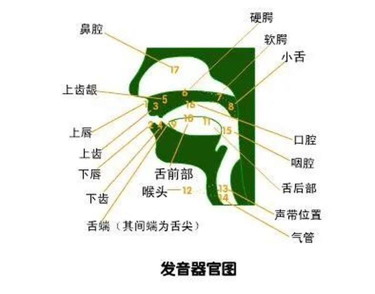 如何一开口就让别人喜欢你