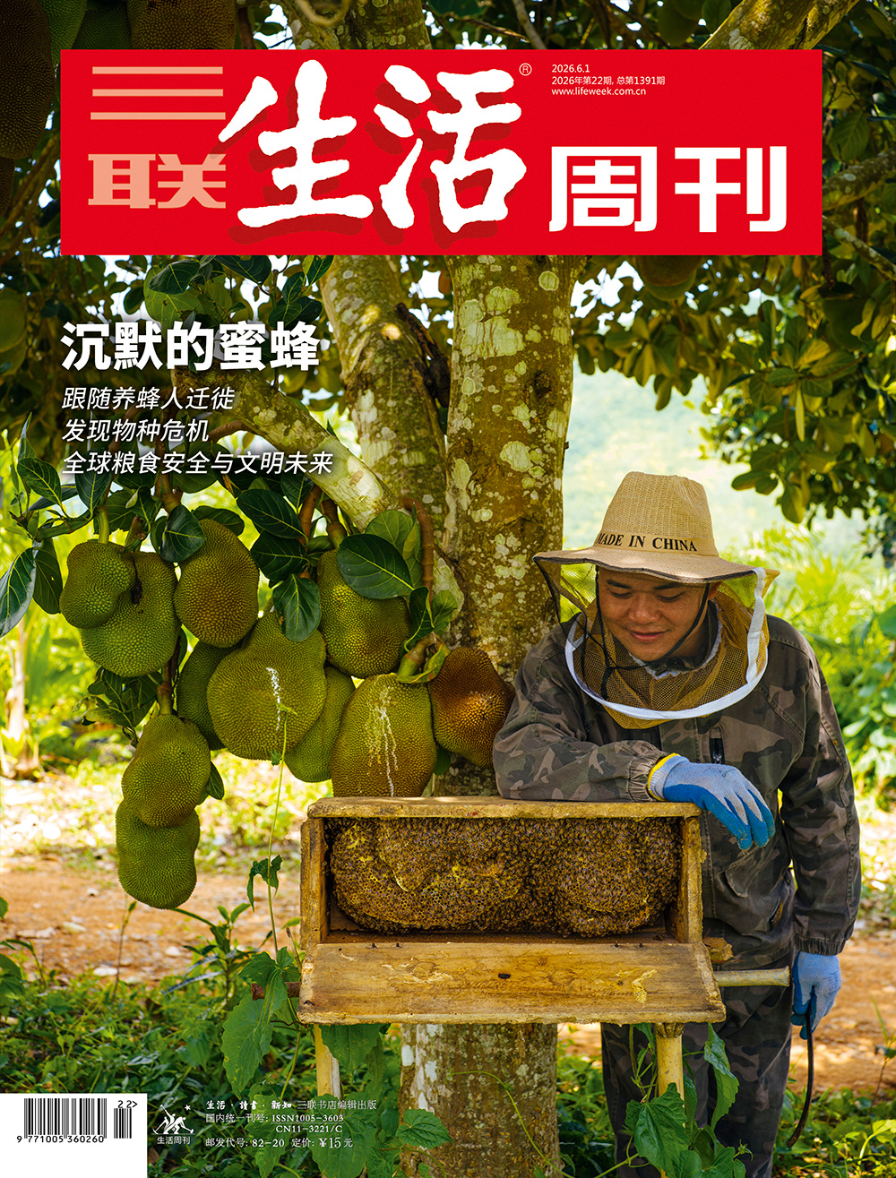 三联生活周刊 2026年第22期 PDF
