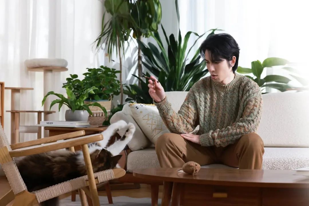 年轻人养宠“进化论”