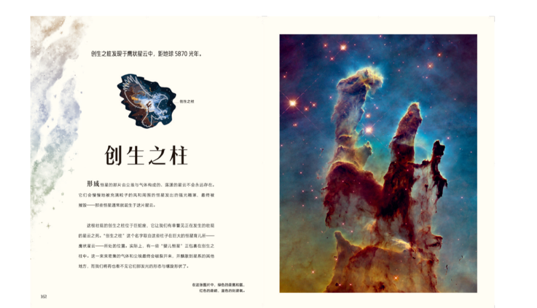 让如潮的好奇心簇拥着你一起去见证生命的奇迹