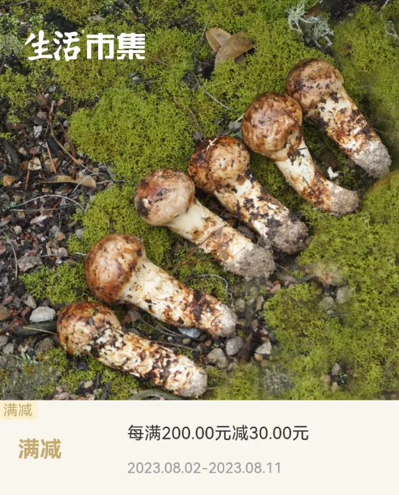 八月,“C位”出道是松茸