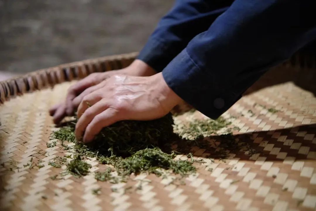 竹沥香的蒙顶黄茶,何以寂寂无名?