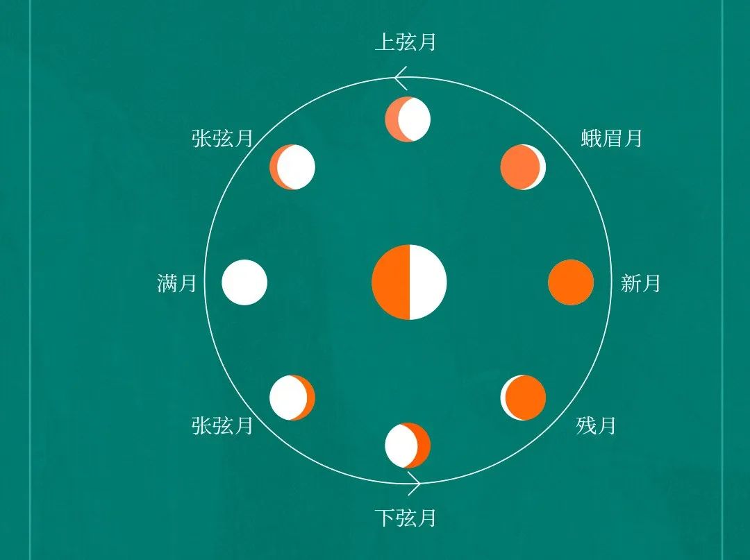 月相变化图日期亦呈圆环状排布
