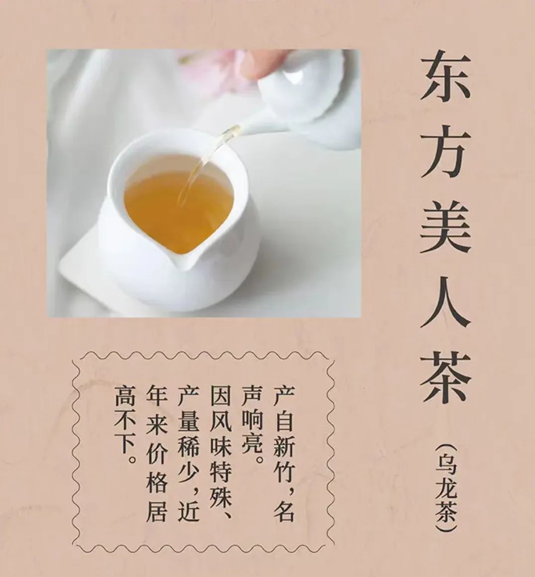 一次喝到这么多风格各异的台湾茶属实不易