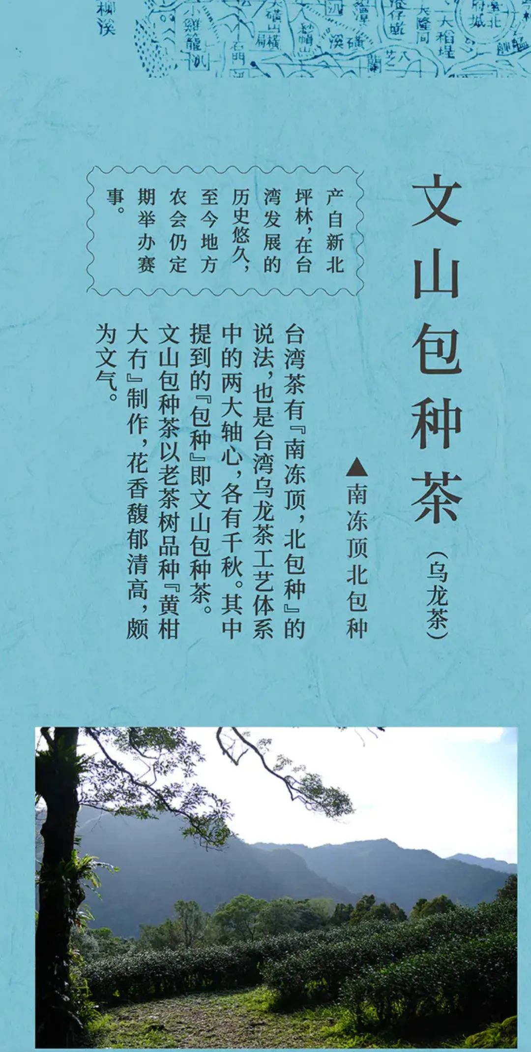 一次喝到这么多风格各异的台湾茶属实不易