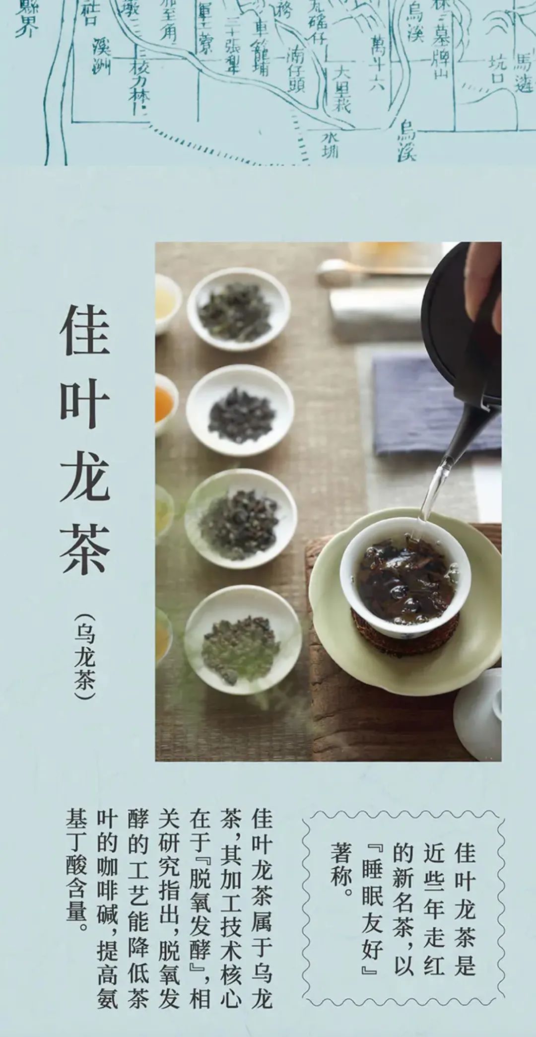 一次喝到这么多风格各异的台湾茶属实不易