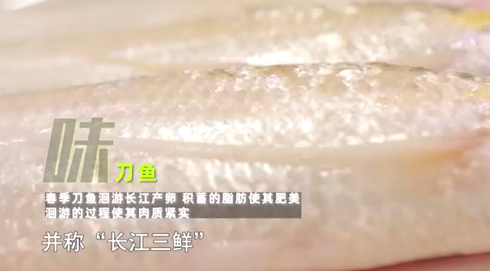 和鲥鱼河豚并称号长江第一鲜的刀鱼到底有多鲜