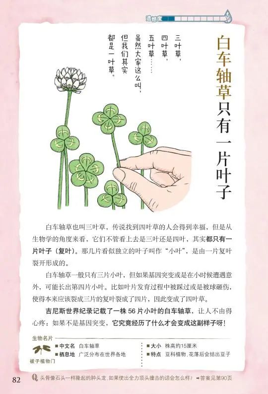 开学后是什么新晋顶流火爆了小学生圈