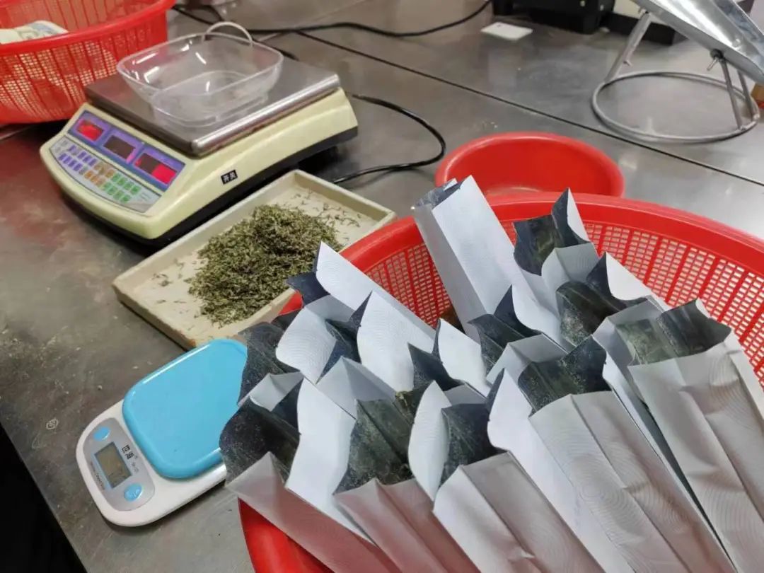 从水月茶到碧螺春一杯春茶的传奇往事录