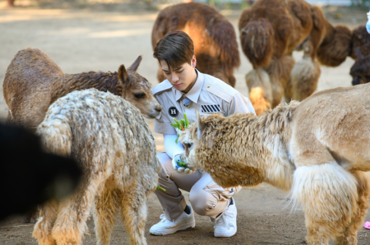 中国最好的动物园里,他们为离去的动物写讣告