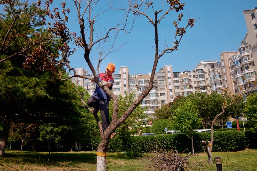 数十万个中国老旧小区,只能靠居民自救吗?