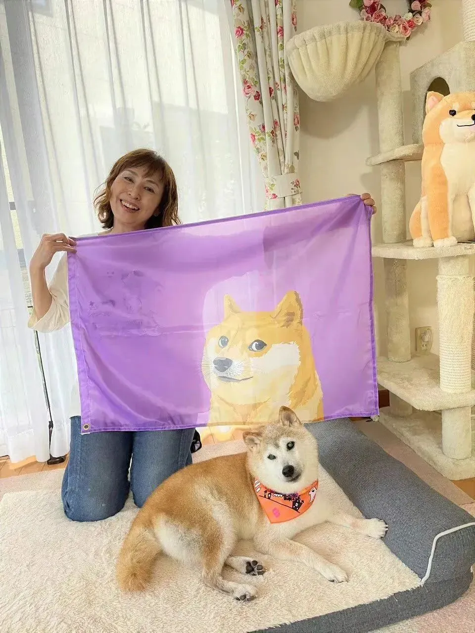 全球最知名狗狗去世,但她留在了所有人的表情包里