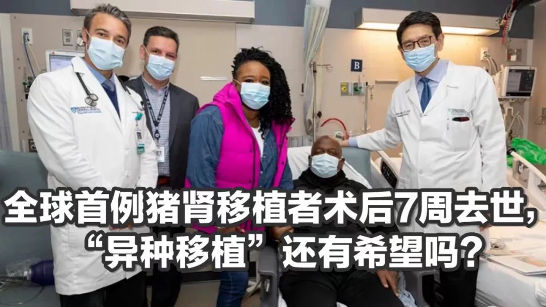 燃气灶污染有害健康?是时候换掉它了吗