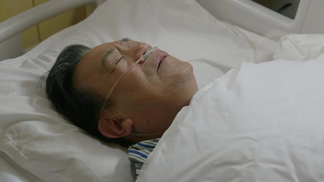 2.5亿人面临感染风险,城市也有夺命"小黑虫"?