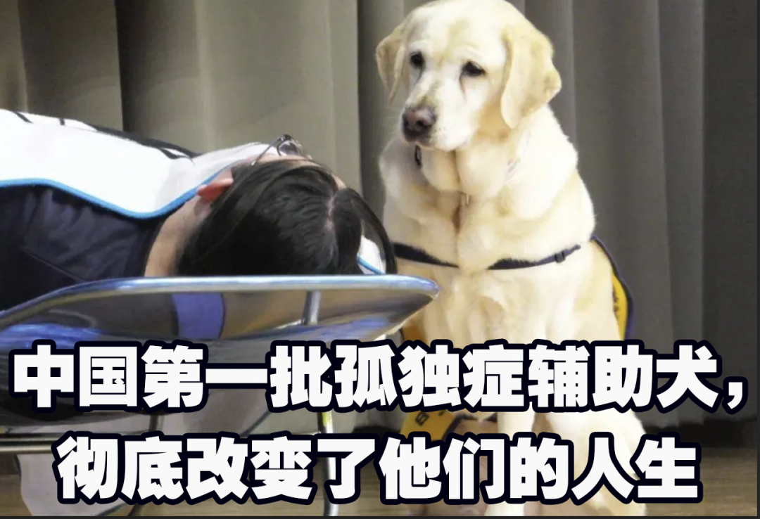 我在县城读高四:属于"回锅肉"的独家记忆