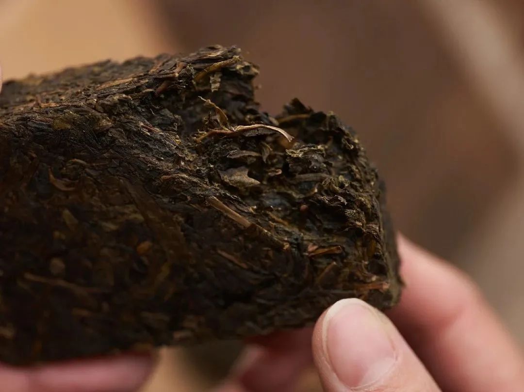 入伏后，更懂黑茶的好？