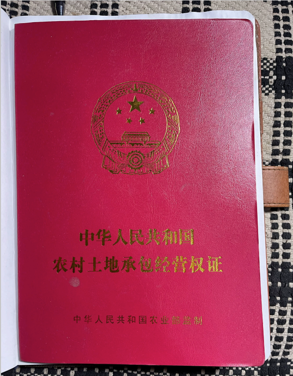 弟弟为"外嫁"的姐姐维权:一个山东农村家庭罕见的胜利