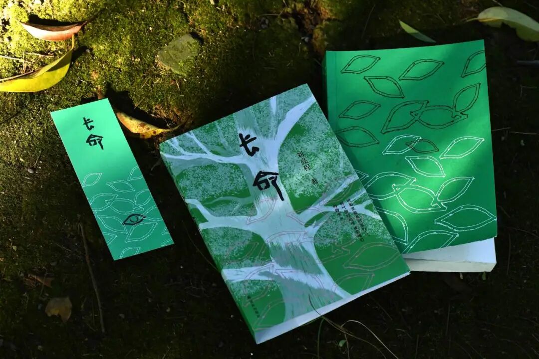 茅奖作家刘亮程新作，“蓄谋已久”的“见鬼之书”